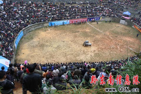 �F�ݖ|����ţ ���ʼ��ʣ��D��