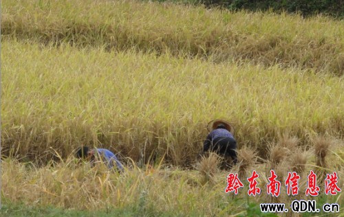 �S�����_̫� �r������ϲ���󣨈D��