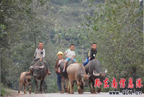 �S���� С�W���u��׃����ͯ�����D��