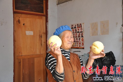 �����^ô���ҳɞ��ο͡����G�G�����D��