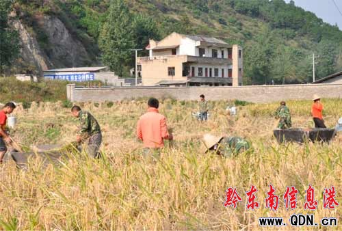 ʮһ�S���� �������������ꠞ��r���յ���æ���D��