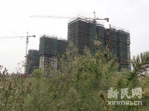 �Ϻ�һ��������컨��ȱ��l�F���������