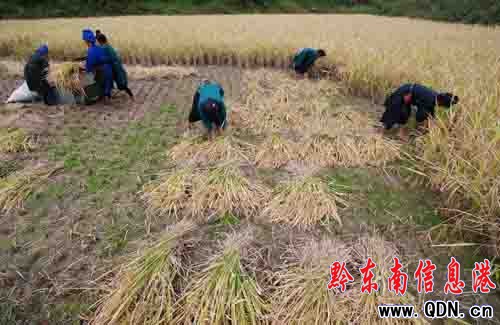 ��կ�����\���׸��r(n��ng)�ң��D��