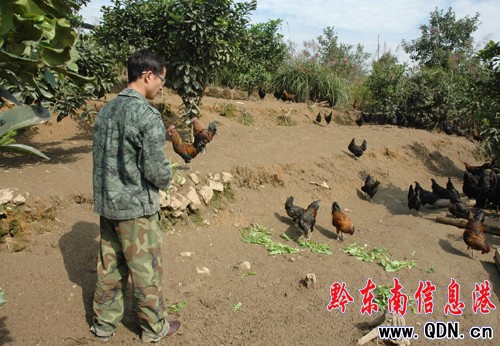 ��W���I��ʯ�c��Ͷ��10�f���I�B���u���D��