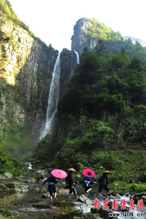 100����կȺ���R�����Fɽ���ǻ� �����迴��ţ