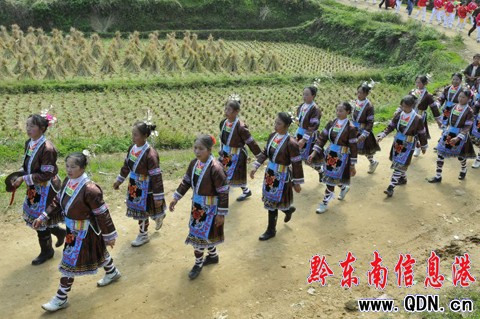 100����կȺ���R�����Fɽ���ǻ� �����迴��ţ