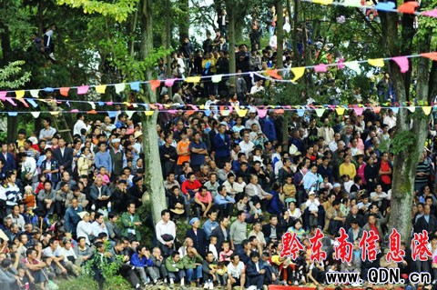 100����կȺ���R�����Fɽ���ǻ� �����迴��ţ