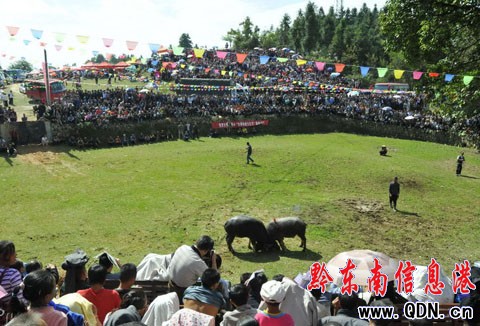 100����կȺ���R�����Fɽ���ǻ� �����迴��ţ