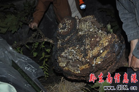 �Ľ��������ݡ��˷���(zh��n)�� ժ��һ���ͷ�C(�D)