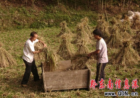 �\���hɽ�^(q��)Ⱥ��ץ�o�r(sh��)�C(j��)������Z���D��