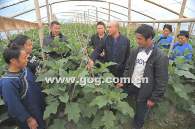 �Ž���������l(xi��ng)��(chu��ng)�I(y��)�\�l(f��)չ���D��