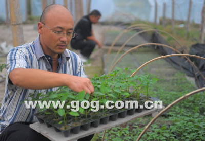 �Ž���������l(xi��ng)��(chu��ng)�I(y��)�\�l(f��)չ���D��