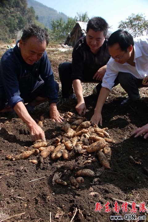 �r��ԡ��з�� ���g���^�N�������飨�M�D��