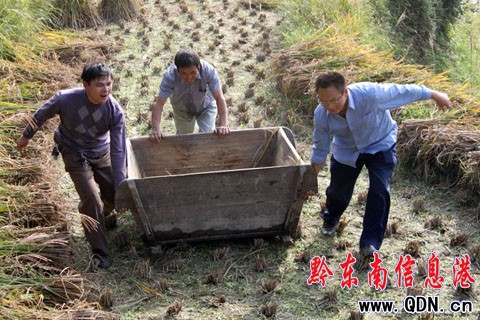 ��ɽǧ���ɲ������l�����r���գ��M�D��