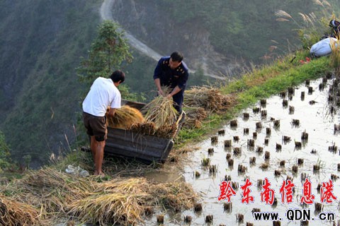 ��ɽǧ���ɲ������l�����r���գ��M�D��