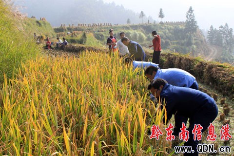 ��ɽǧ���ɲ������l�����r���գ��M�D��