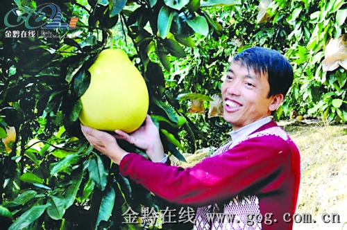 ���ĵ����h�N�Ϻ��V�|���D��