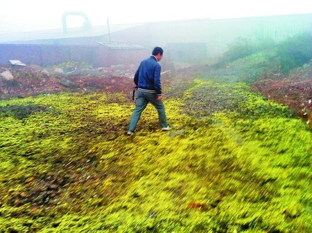 �������ضѷ�52�f���t�� �֌�����������