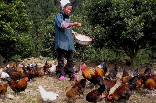 �Ž������(zh��n)С���u���Nȫ��(gu��)���D��