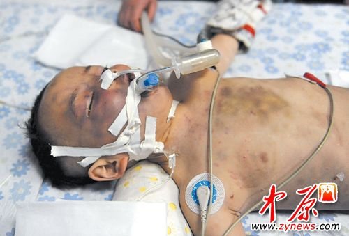 ���H���ɚq���ӻ����� ��Ժ��̎��o��ͽ��