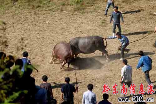 ��կ�h�P���l(xi��ng)�f�˹��c���¹�(ji��)���D��