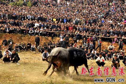 �Sƽ���Ҏ(gu��)ģ�J�ϕ�������(sh��)�f������ͬ�����D��