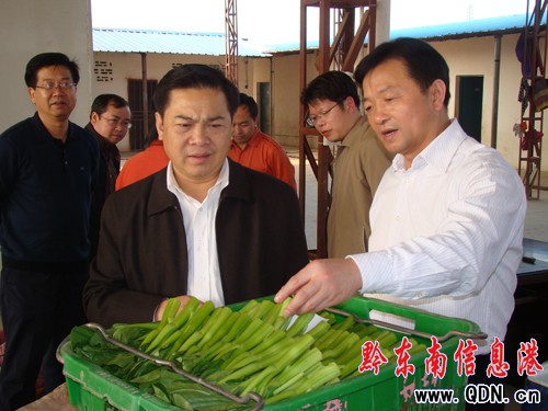 ����ï���Ž�����ָ��(d��o)�������M�D��