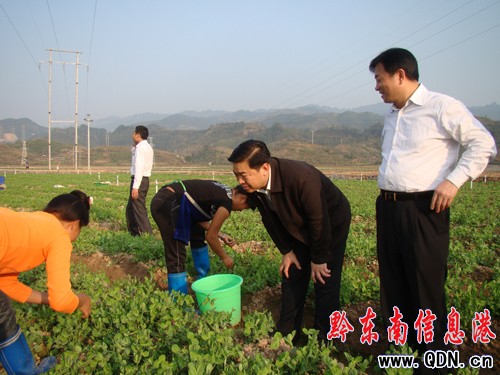 ����ï���Ž�����ָ��(d��o)�������M�D��