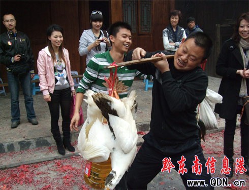 �������� ���Ĳع���  �ķ��e���R���R(�D)