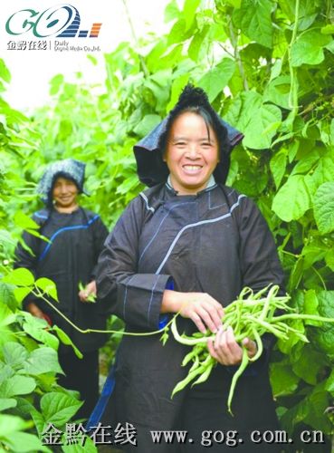 ��̩���o��������F�����(�D)