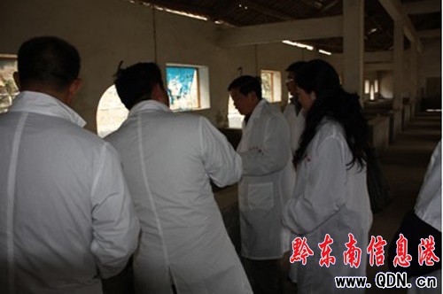 �Ľ��h���i�Bֳʾ���^ͨ�^������գ��D��