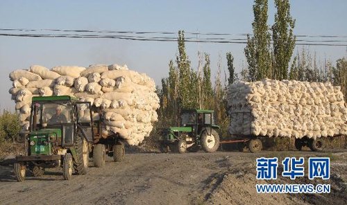 �ރr���ߟ����������b ���M(f��i)����Α�(y��ng)���q�r�_����