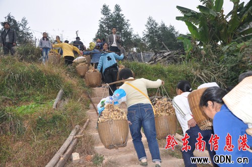 �����ϼ�患����������������D��