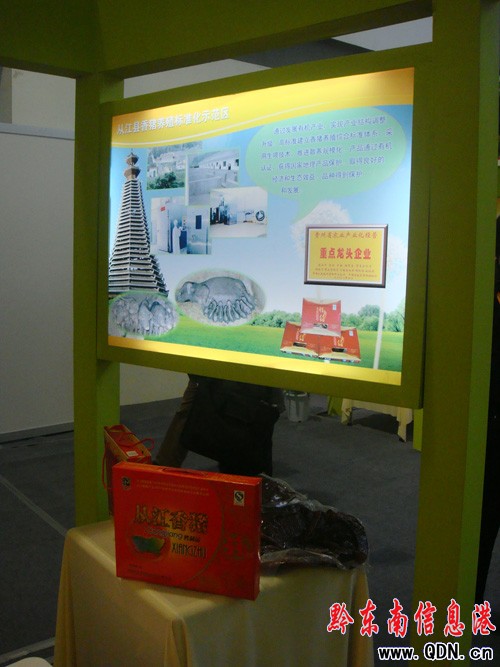 �����r(n��ng)�I(y��)�Ƽ����[���_Ļ �Ľ����i�@�Gȫ��