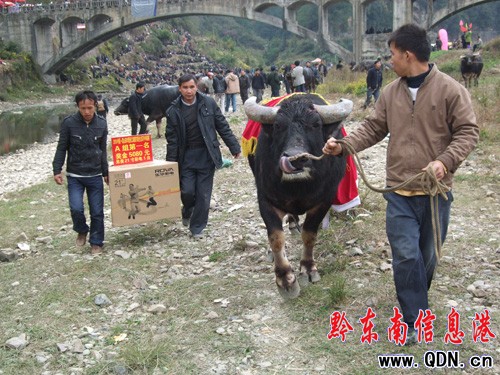 ��ɽ��ţ���� �Ä����I(l��ng)�����늻ؼң��D��