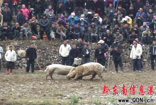 ��ɽ���i��������ِ���ʼ���(�D)