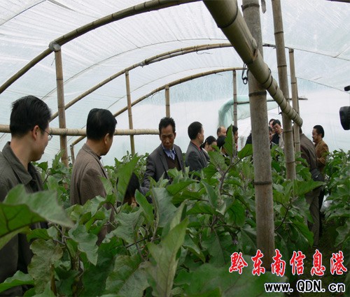 ʡ�����˴�������Ž��hҕ��