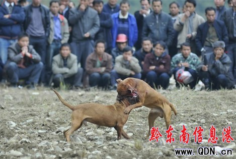 ��ɽ�����[���꣨�D��