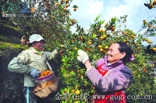 �\����ǧ�����r��DŮ���T��ժ��