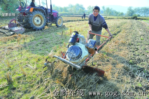 �\��¡��������Sһ֧�r�C� ���r��Nֲ����