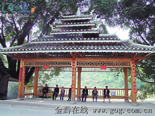 �Ž�20��������ɫ��܇ͤ�����l�壨�D��