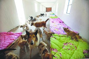 �����¼��ˣ���ͦ�M�⡱