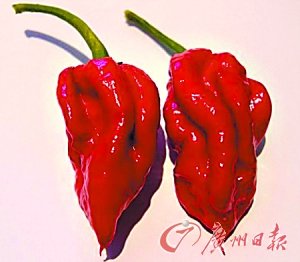 Ӣ���Q������������������ ��׌�˜I��Ȫӿ