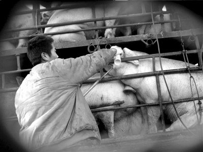 ӛ�߰��L�l�Fעˮ�i�M������Ҏ��ʳ��˾(�M�D)