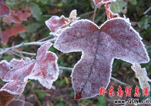 �������˪�~Ҳ���ģ��D��