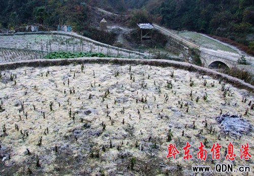 �������˪�~Ҳ���ģ��D��