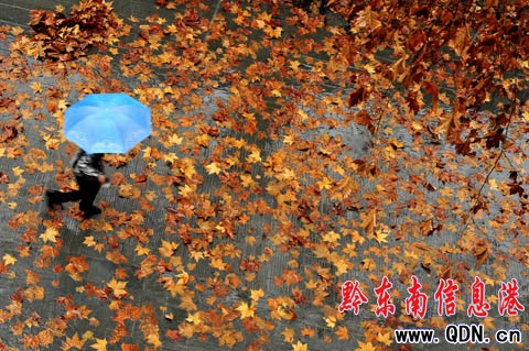 �ųǽֵ�ɢ�����ͩ�~ �q��һ�������������D��