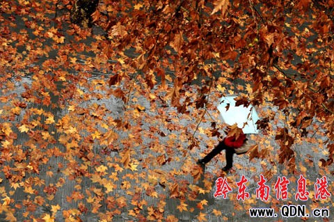 �ųǽֵ�ɢ�����ͩ�~ �q��һ�������������D��