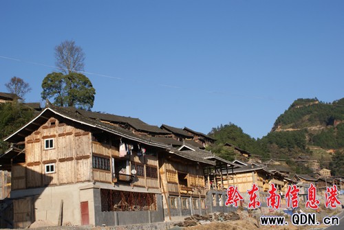 ��ɽ3221����é���ݡ�׃�ɡ�ǭ�|���_��ӡ�