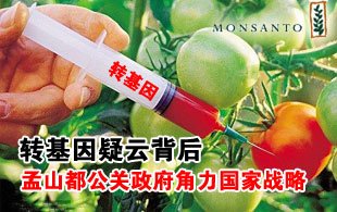 �D�������Ʊ�����ɽ�����P�����������ґ���